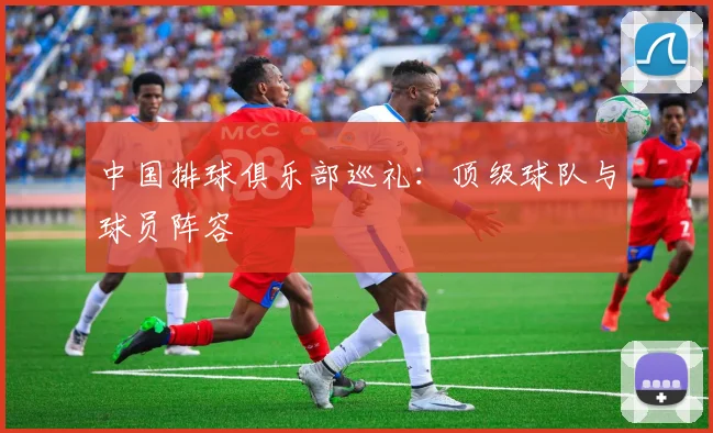 中国排球俱乐部巡礼：顶级球队与球员阵容