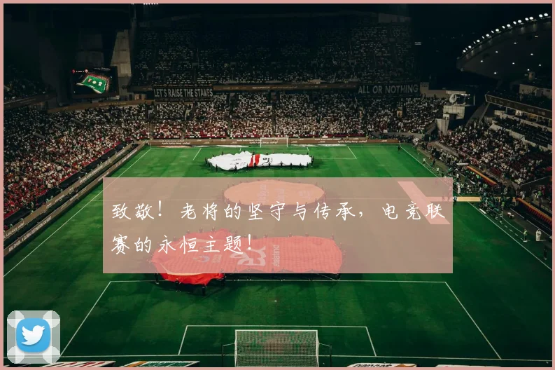 致敬！老将的坚守与传承，电竞联赛的永恒主题！