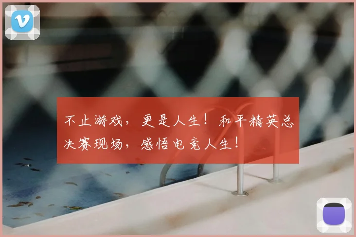 不止游戏,更是人生!和平精英总决赛现场,感悟电竞人生!